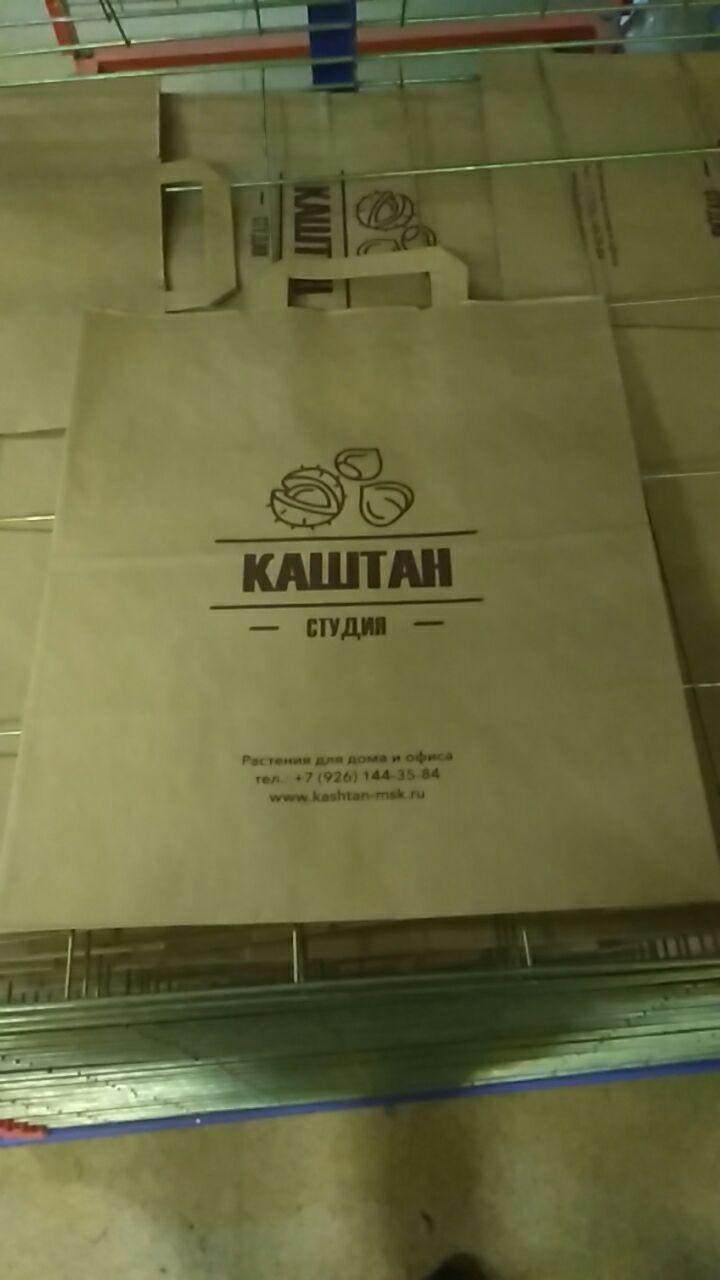 Портфолио — Сияние